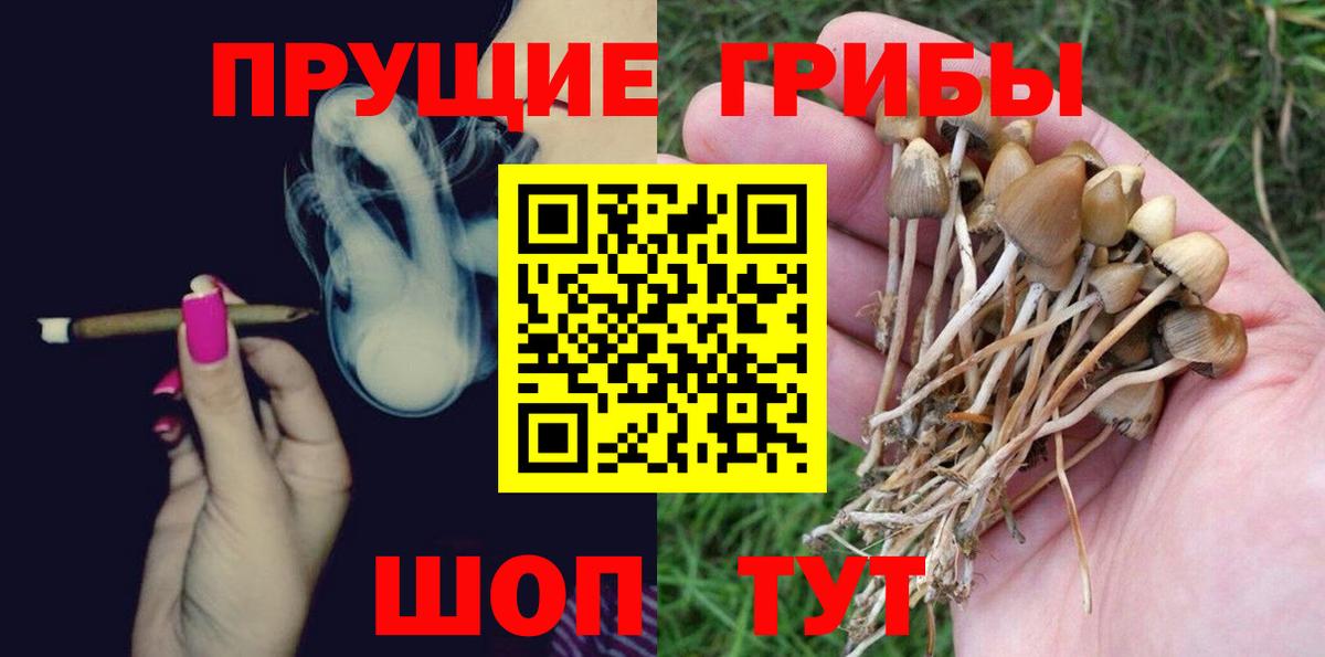Псилоцибиновые грибы Psilocybine cubensis  Галлюциногенные грибы прущие грибы  Вход с VPN  купить   Ростов-на-Дону 