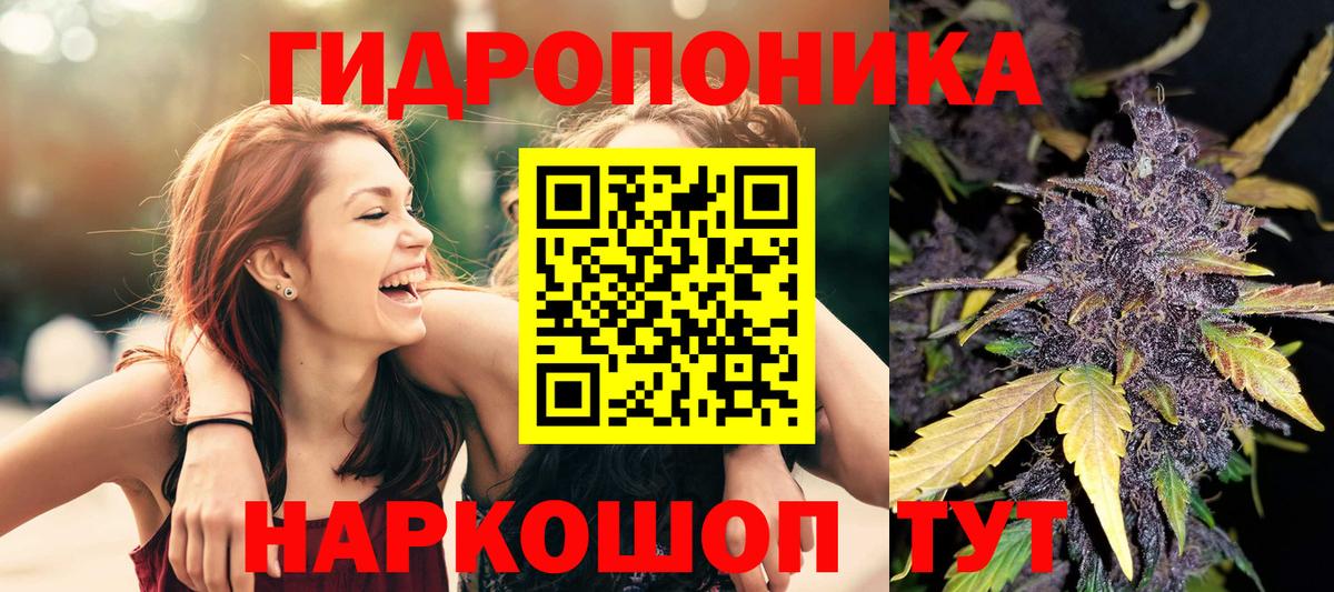 Бошки Шишки марихуана Ростов-на-Дону